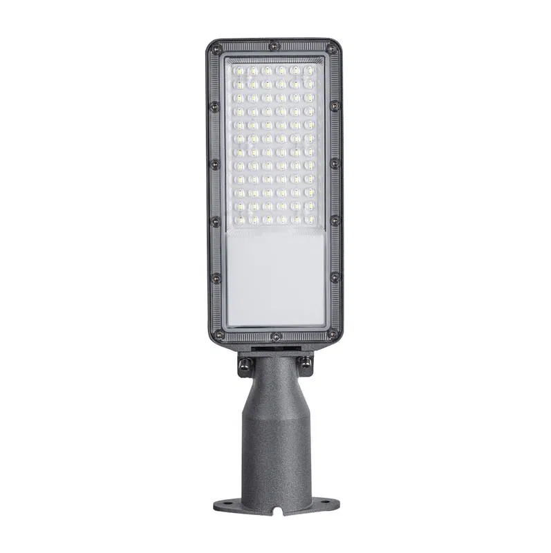 LED灯 50W 5000K IP66 6000lm 460x131x73mm d65mm КСС "Ш" 室外悬臂式可调倾角灯 Apeyron 29-14