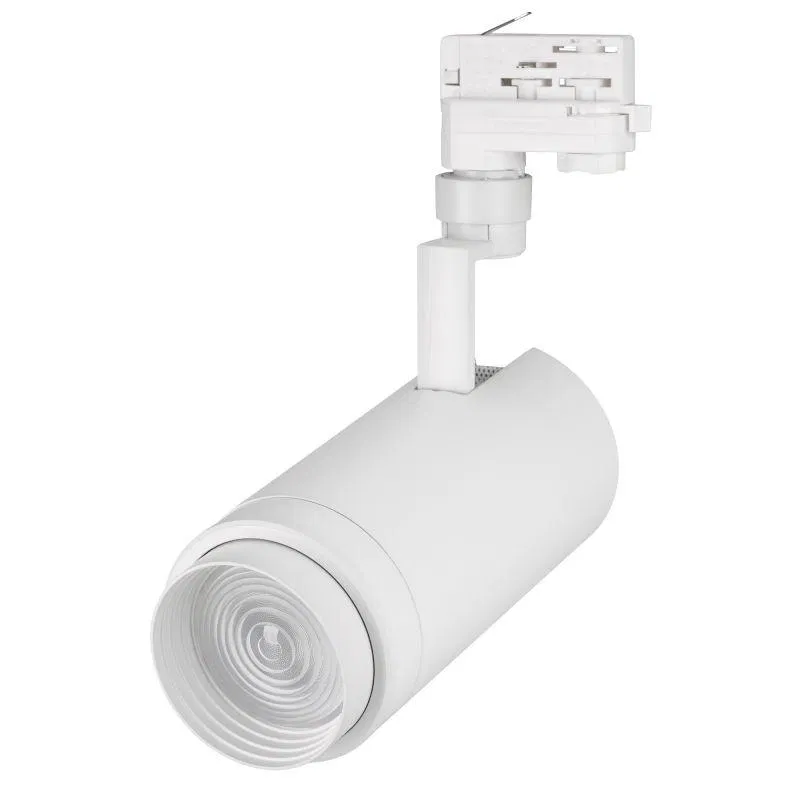 Светильник светодиодный LGD-ZEUS-4TR-R100-30W Warm SP2500-Bread WH 20-60 deg IP20 230В металл Arlight 029994