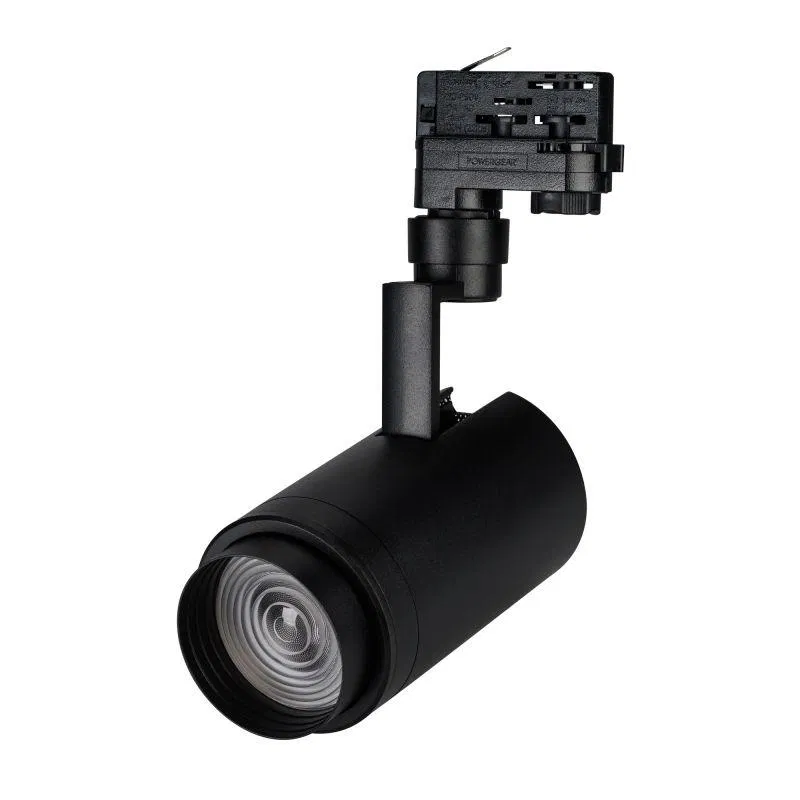 Светильник светодиодный LGD-ZEUS-4TR-R88-20W Cool SP7500-Fish BK 20-60 deg IP20 230В металл Arlight 032448