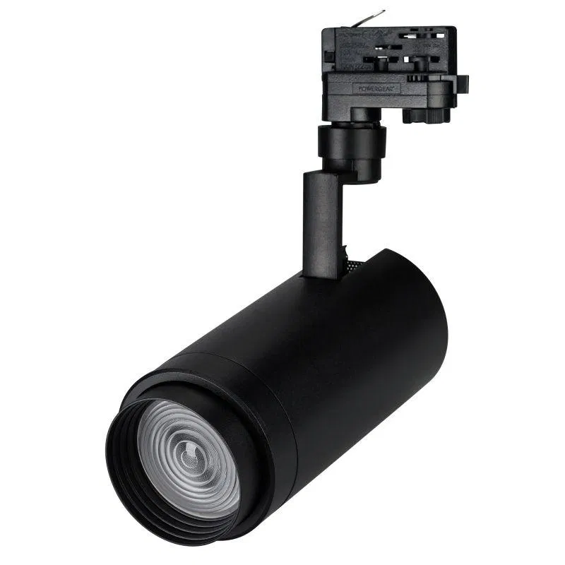 Светильник светодиодный LGD-ZEUS-4TR-R100-30W Warm SP2900-Meat BK 20-60 deg IP20 230В металл Arlight 032456