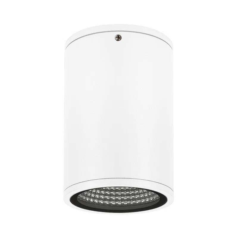 Светильник LGD-FORMA-SURFACE-R90-12W Day4000 (WH 44 deg 230В) (IP54 металл) Arlight 037259