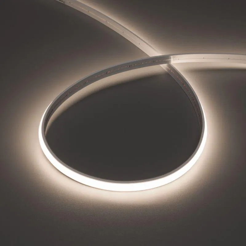 Лента светодиодная MOONLIGHT-TOP-X544-10x5mm 24V Day 4300К 10Вт/м IP65 wire x1 прямой вывод кабеля герметичная (уп.5м) Arlight 041525