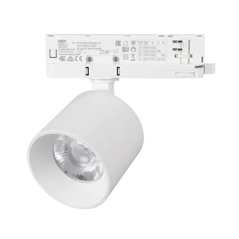 Светильник LGD-DYKE-4TR-R90-26W Day4000 WH 50 deg 230В 26Вт 4000К IP20 метал. Arlight 052287