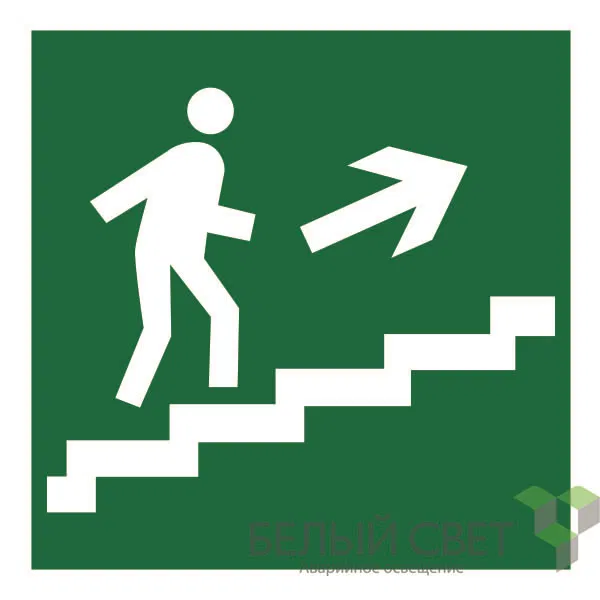 Safety sign NPU-2424.E15 "e.g. to evacuation exit via stairs up (right)" White light a11052