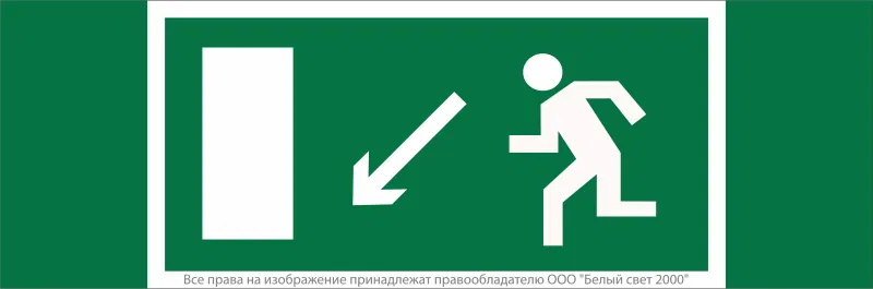 Safety sign NPU-3413.E08 "e.g. to evacuation exit left down" White light a16519