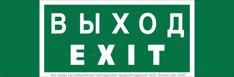 安全标志 NPU-3413.E24 "出口-EXIT" 白光 a16530
