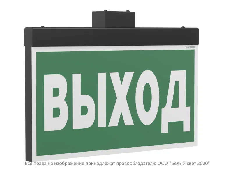 Указатель световой BS-FIRMUS-10-S1-24 Black Белый свет a19355