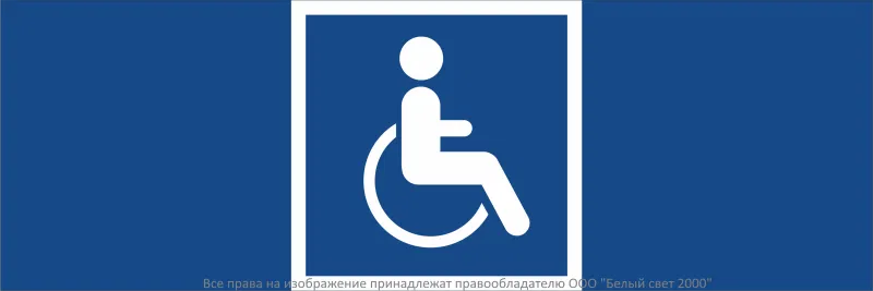 Знак безопасности NPU-3413.D02 "Символы доступности для инвалидов всех категорий" Белый свет a19956