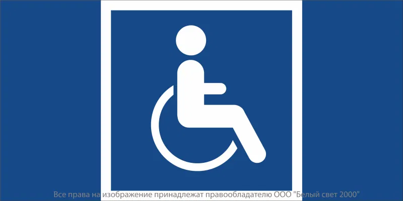 Знак безопасности NPU-2110.D02 "Символы доступности для инвалидов всех категорий" Белый свет a20432