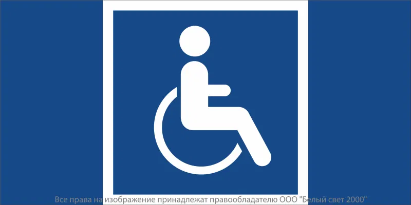 Знак безопасности NPU-7035.D02 "Символы доступ. для инвалидов всех категорий" Белый свет a20503