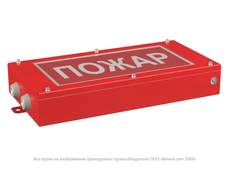Указатель световой BS-CANRON-83-S1-INEXI2 Белый свет a27802