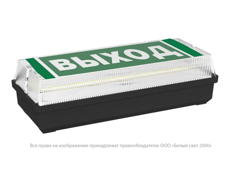 Указатель световой BS-UNIVERSAL-10-S1-ELON 5000К Black Белый свет a32301