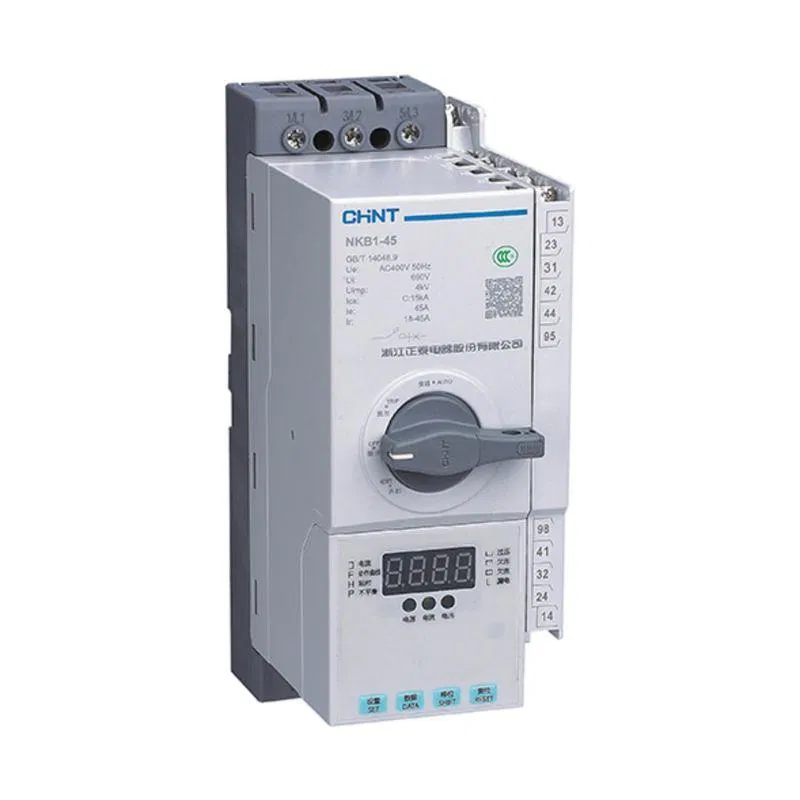 智能接触器，具备控制与保护功能 NKB1-125 C/M125/06QFG CHINT 173835