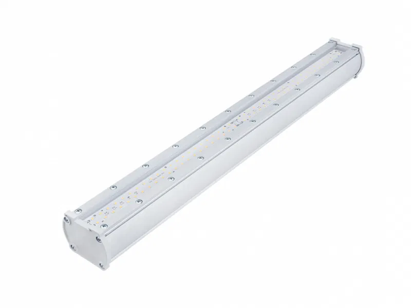 Piton City 20/2700 clear LED灯 20W 1900K IP65 2700lm L600 0.95PF 80Ra Кп<1 Diora DPC20-C-A-L600
