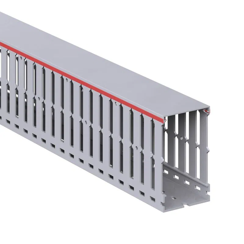 Кабель-канал перфорированный 60х100 L2000 RL12 G DKC 00162RL