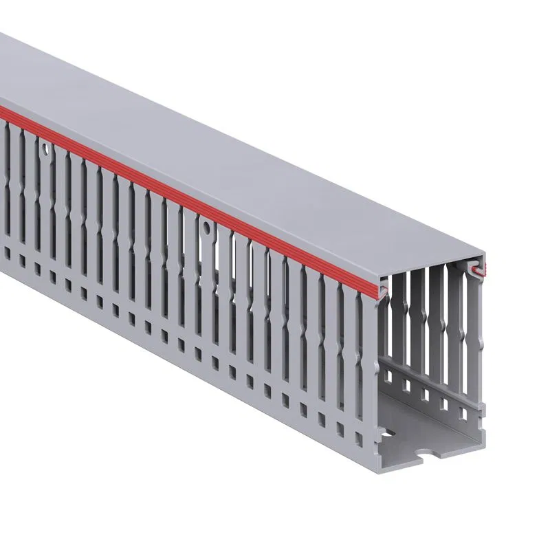 Кабель-канал перфорированный 40х60 L2000 RL6 G DKC 01107RL