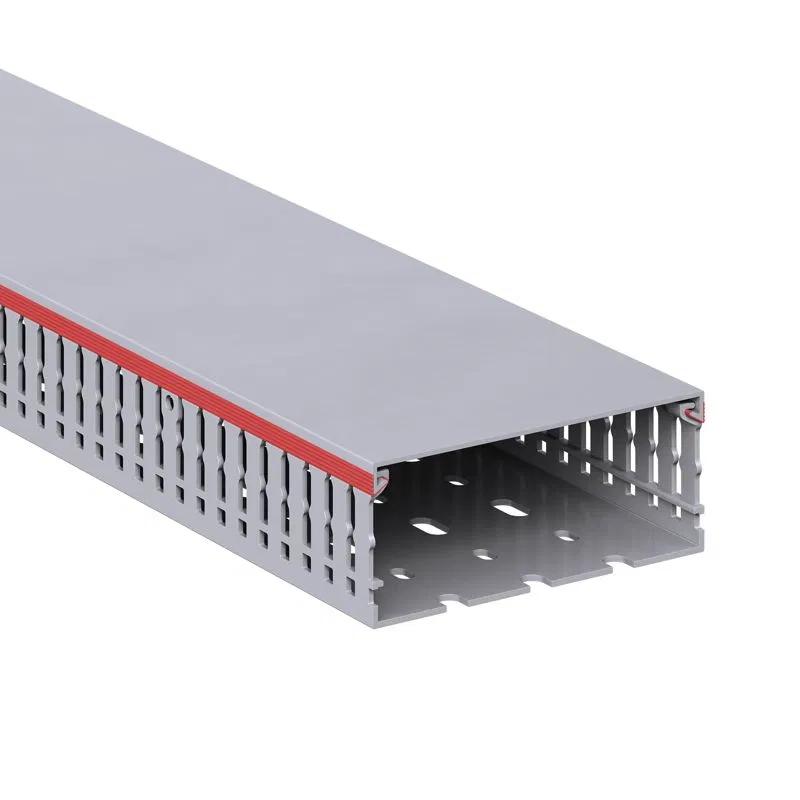 Кабель-канал перфорированный 100х40 L2000 RL6 G DKC 01155RL