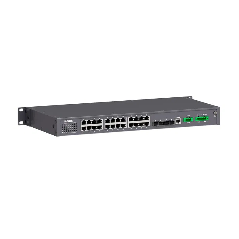 N2100-4SFP24T-P5 АО "Диэлектрические Кабельные Системы"