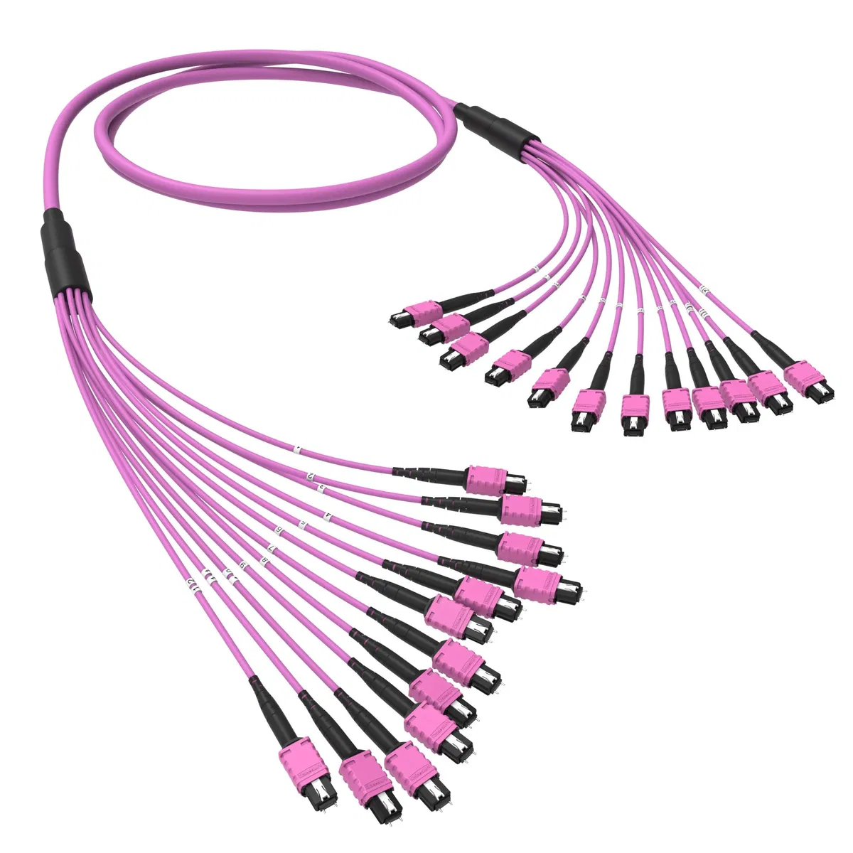 Оптическая магистральная сборка 144 ОВ 50/125 OM4, 12xMTP PRO(12)m/12xMTP PRO(12)m, тип В, 40 м RNTMM12X12440 DKC