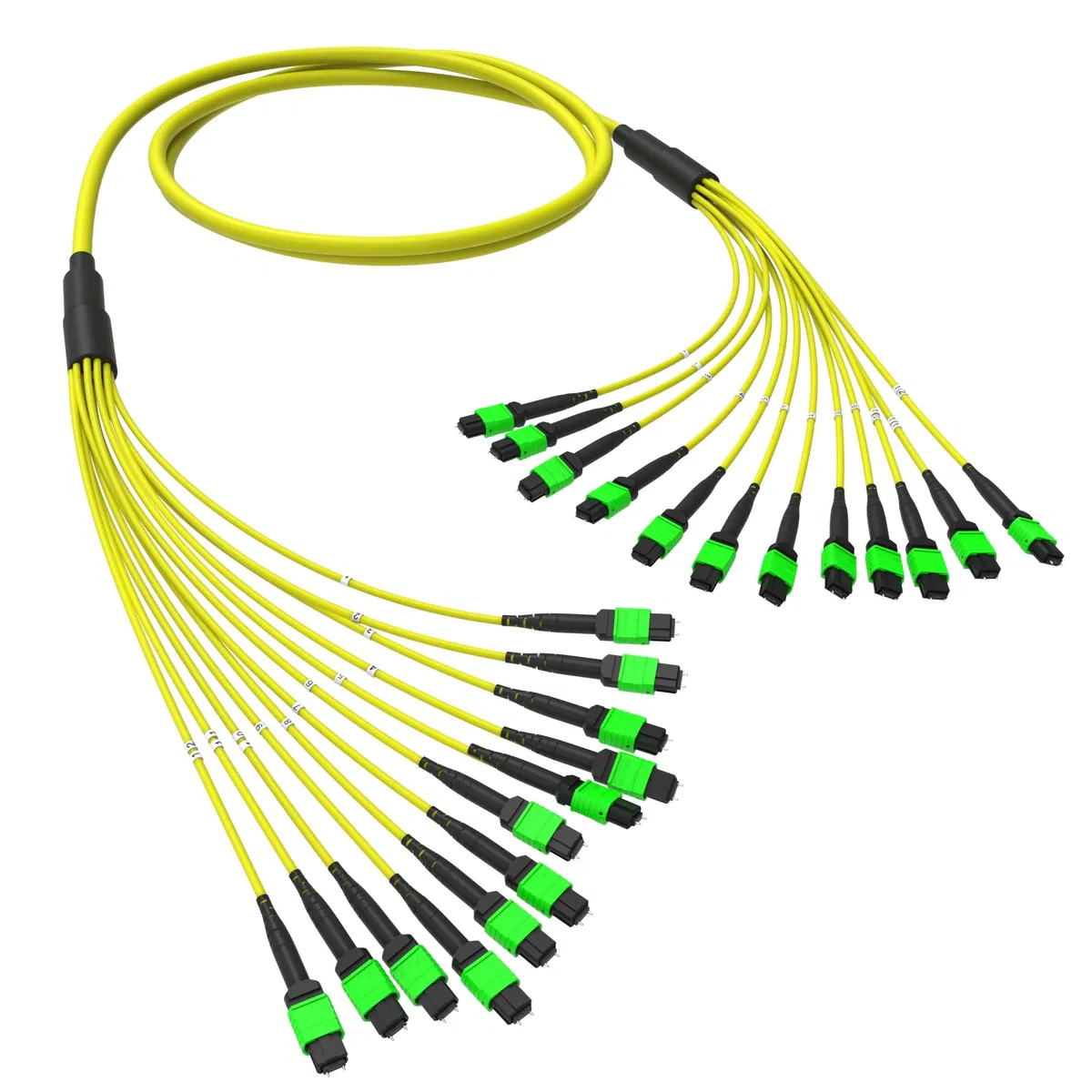 Оптическая магистральная сборка 144 ОВ 9/125 OS2, 12xMTP(12)m/12xMTP(12)m, тип В, 50 м RNTMM12X12S50 DKC