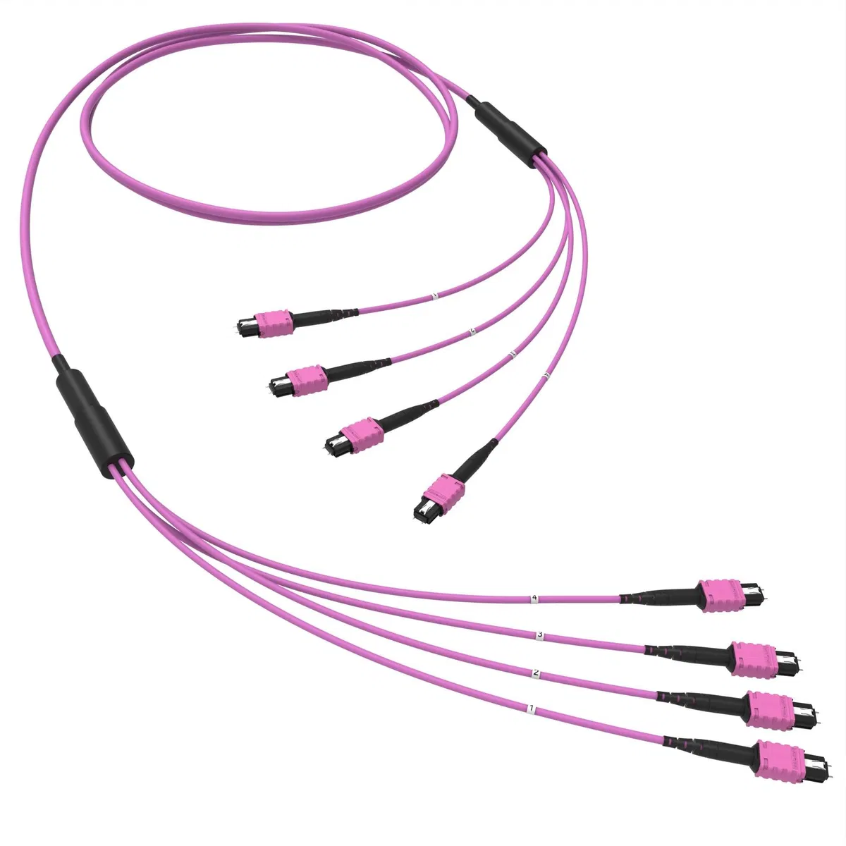 Оптическая магистральная сборка 48 ОВ 50/125 OM4, 4xMTP PRO(12)m/4xMTP PRO(12)m, тип В, 10 м RNTMM4X12410 DKC