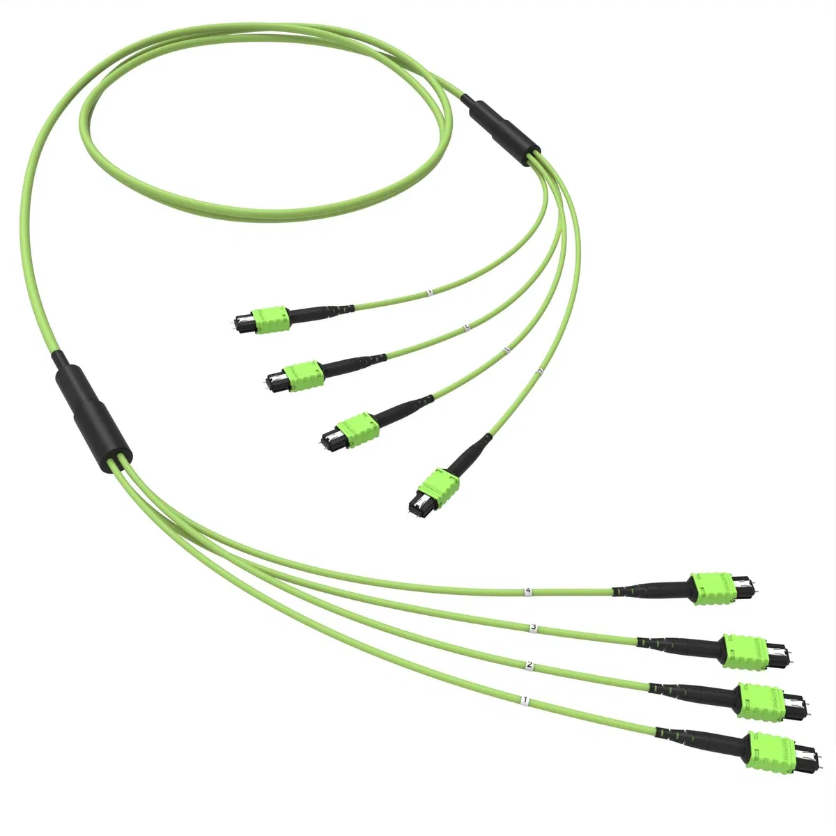Оптическая магистральная сборка 48 ОВ 50/125 OM5, 4xMTP PRO(12)m/4xMTP PRO(12)m, тип В, 50 м RNTMM4X12V50 DKC