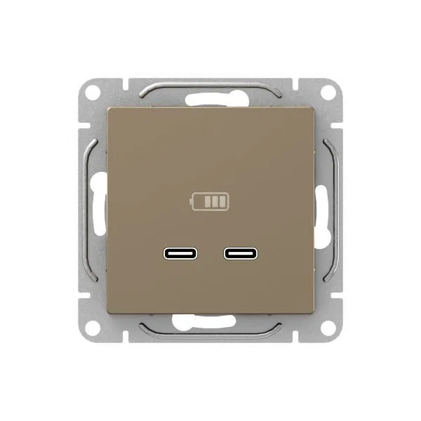 Розетка 2-м СП Эпика USB-C механизм шампань EKF UP1-SOC-2USBC