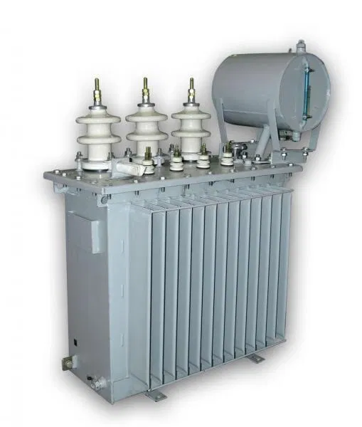 Transformer TM-25/10/0.4 U/Zn-11 U1 ELEKTROSHCHIT Chekhov 1280697A