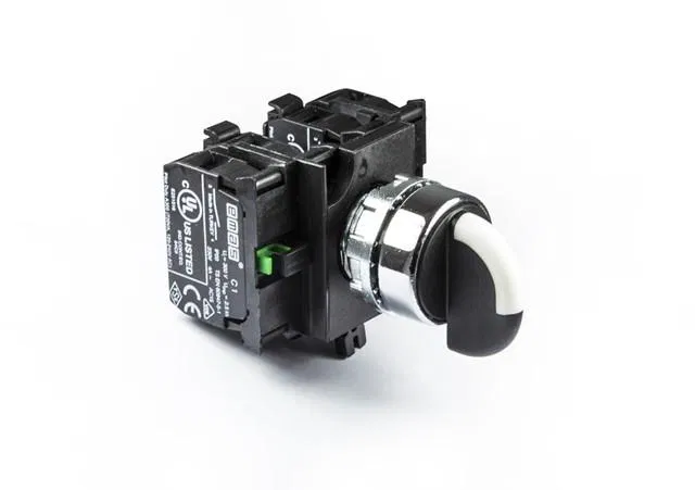 2-0-1 Switch with latching 2 NO+2 NO EMAS CM303S30