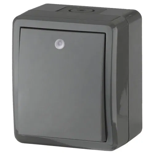 1-way Switch OP Era Expert 10A IP54 11-1402-03 250V 10AX with backlight grey Era B0020672
