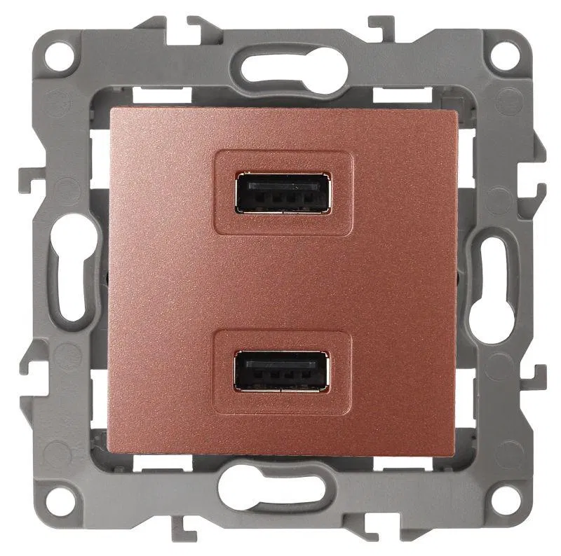 USB charger 12-4110-14 5V-2100mA copper ERA Б0027499