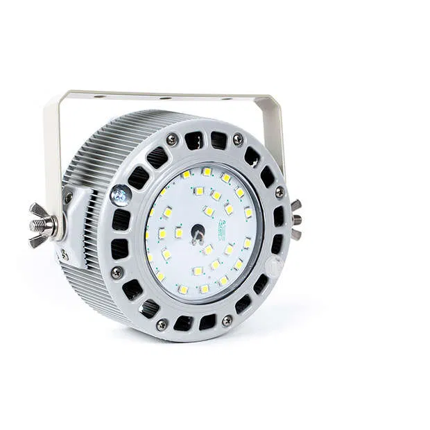 LED luminaire PSS-30 Kolobok D IP66 5000K pipe mounting FOCUS PSS00-030D0LEE03F06000
