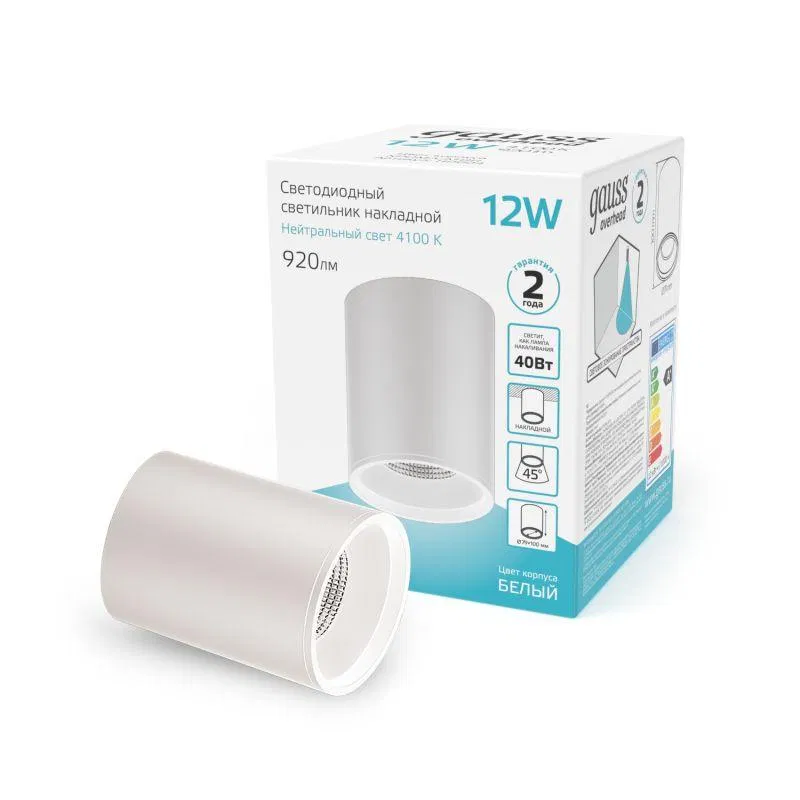 LED 灯具 Overhead 12W 4100K IP20 920lm 170-240V DPO 圆柱吸顶式 白色 GAUSS HD011