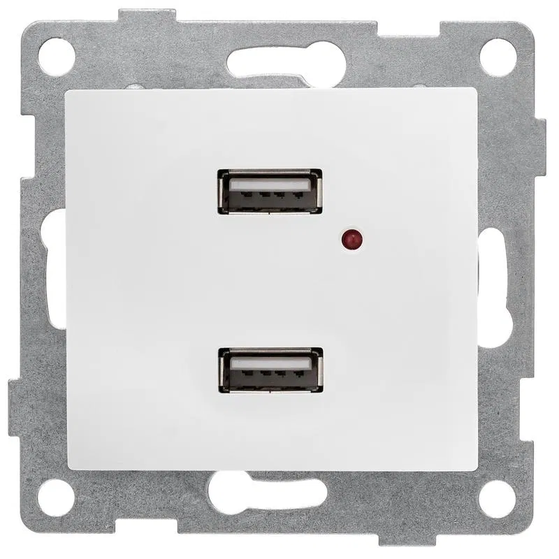 USB Socket 2-gang SP Bravo mechanism white GUSI C10USB2-001