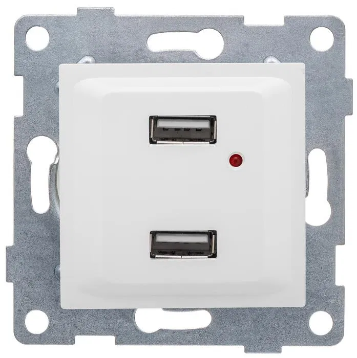 USB socket 2-gang SP Ugra mechanism white GUSI C11USB2-001