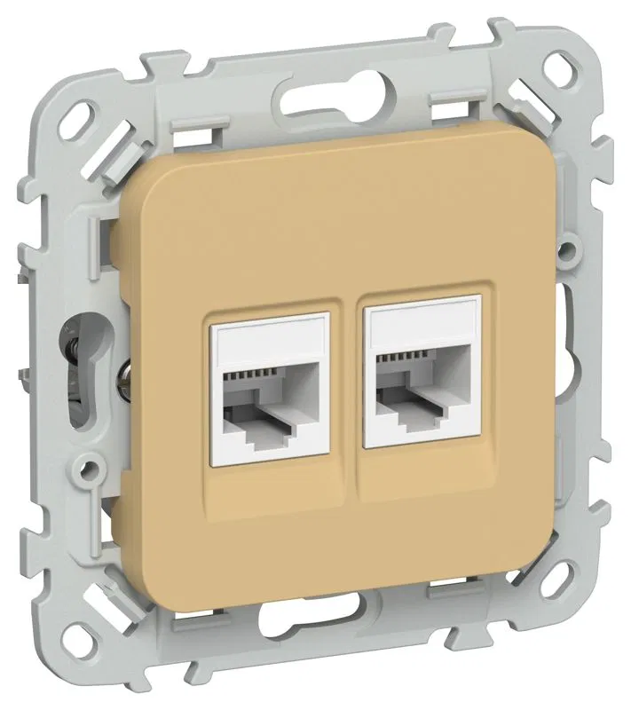 Розетка компьютерная 2-м СП FLITE РК5е-2-0-ФлШм RJ45 кат.5E UTP механизм шамуа IEK FI-K22-1-K89