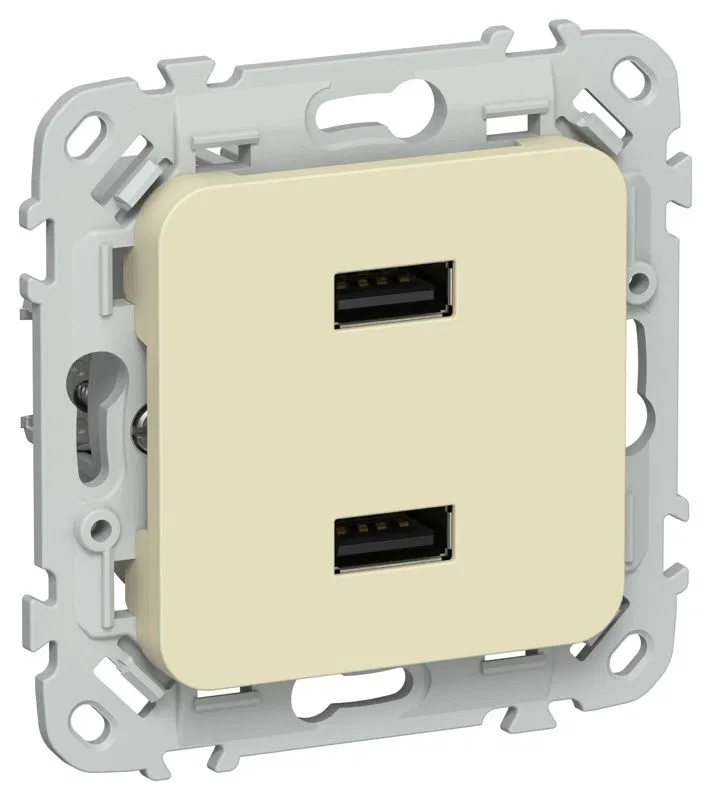 Розетка USB СП FLITE РЮ-2-ФлН AA 2.1А механизм навахо IEK FI-U21-D31-K87