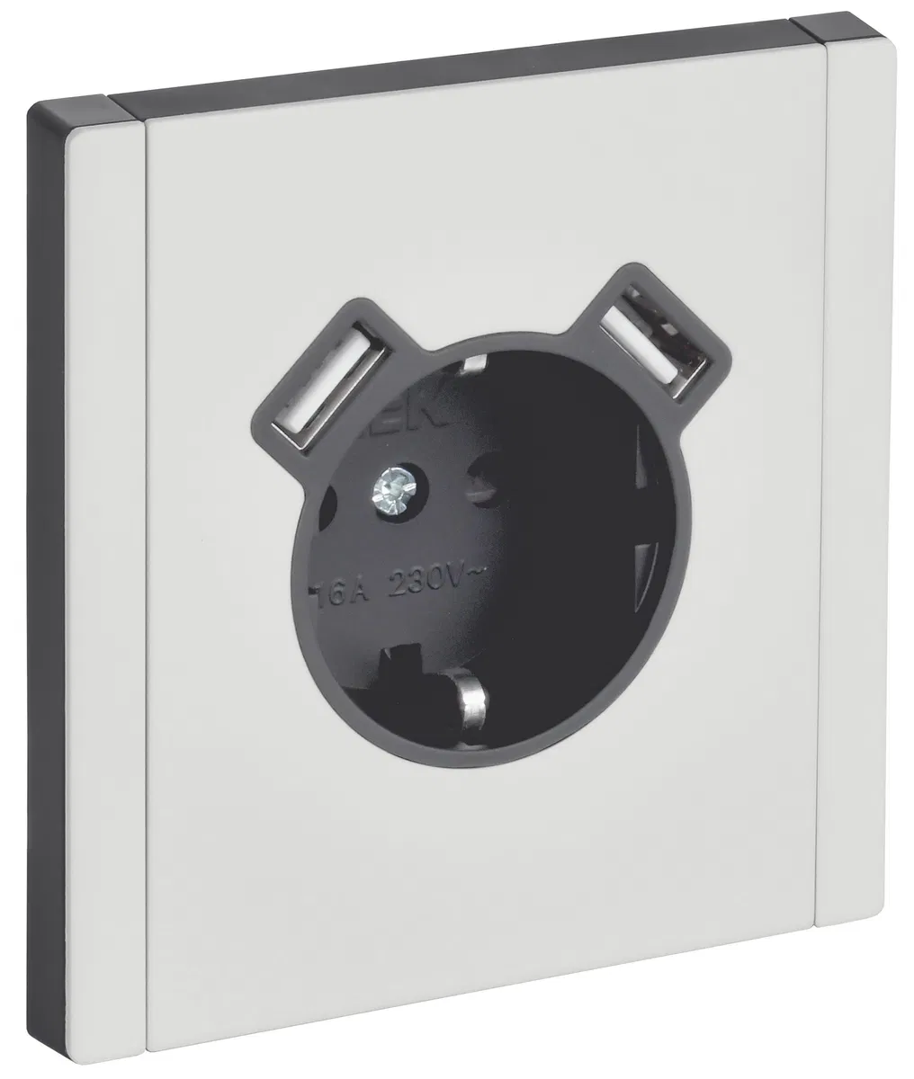 FORTE&PIANO 单位带接地保护盖插座 螺钉固定 16A USB A+A 3.1A FP245M 金属白 IEK FP-R14-16-U21-D31-M-K01