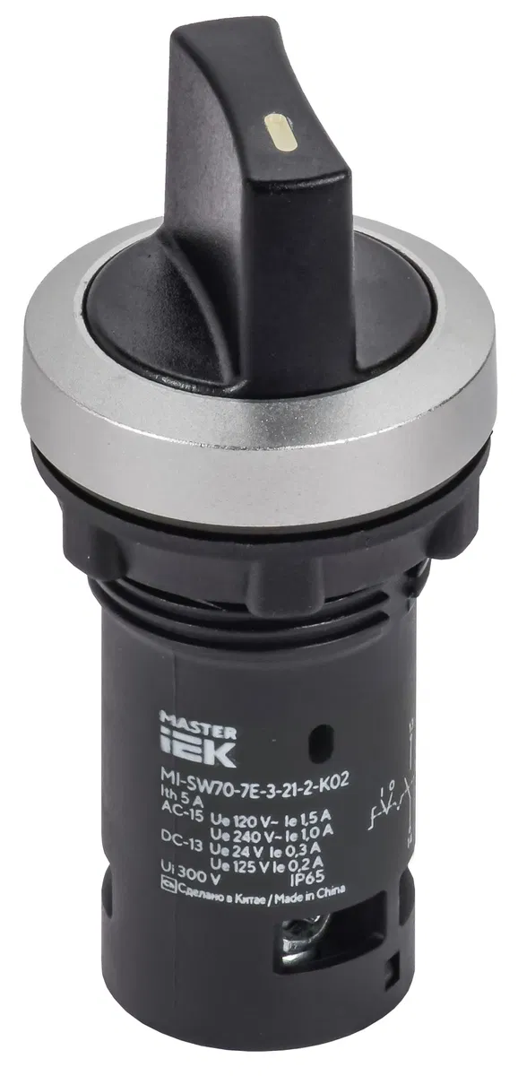 IP65 2位单体开关 1NO+1NC 黑色 MASTER IEK MI-SW70-7E-3-21-2-K02