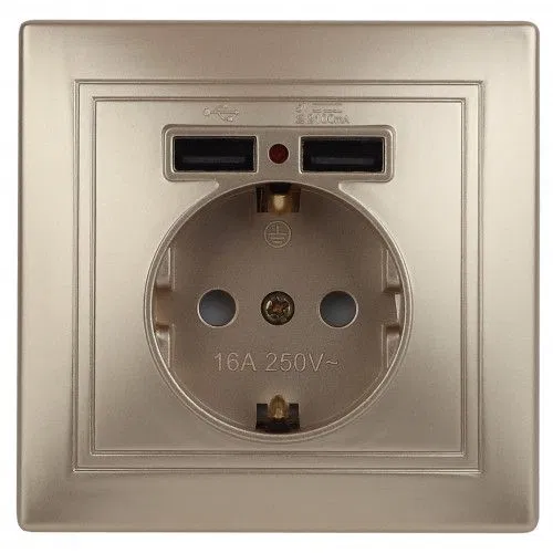 Розетка 1-м СП Plano 1-410-04 16А IP20 + 2хUSB шампань Intro Б0053945
