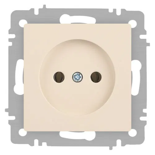 Розетка 1-м СП Accent 6-201-02 16А IP20 250В 2P сл. кость Intro Б0063659