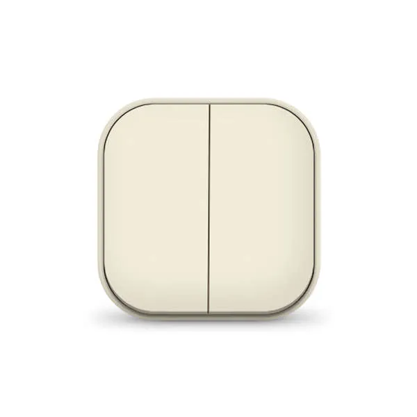 Выключатель 2-кл. 1п ОП 10А IP20 сл. кость IONICH 1425