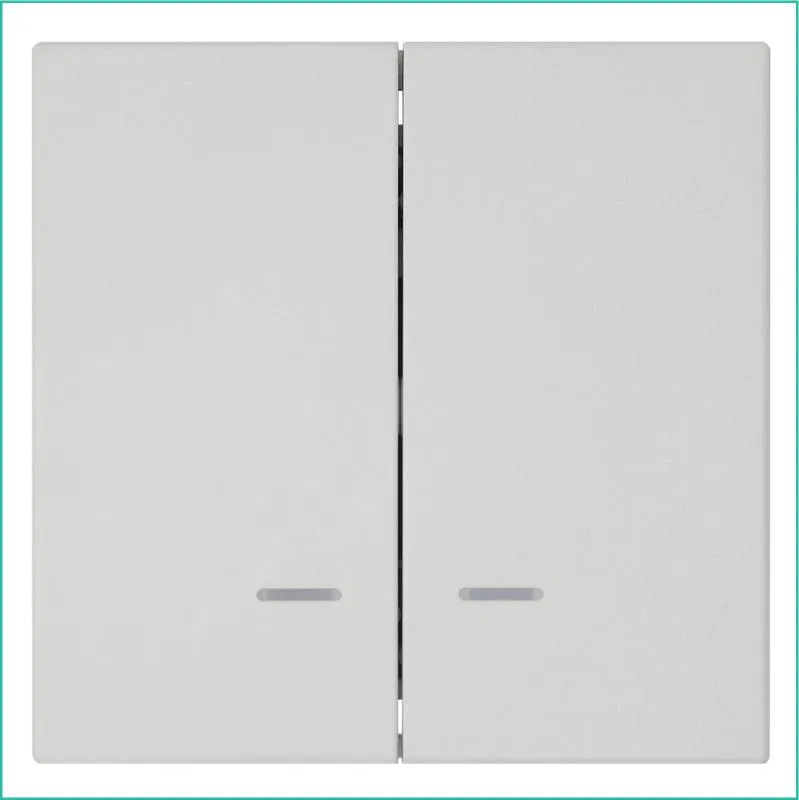 Выключатель 2-кл. СП FD 10А IP20 с подсветкой с накладкой механизм тауп матов. soft touch Jasmart FD3023NPTM