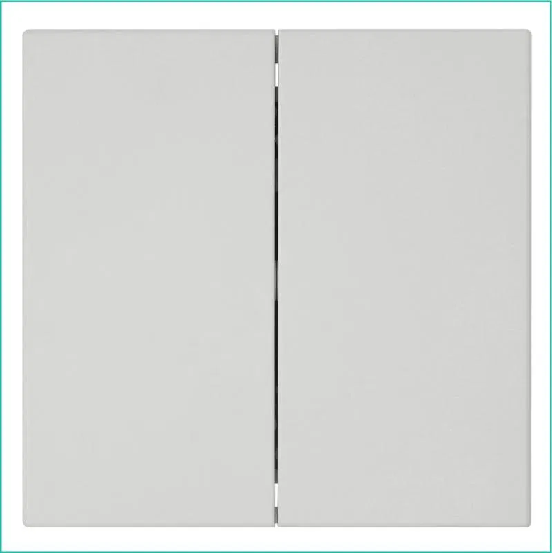 Выключатель 2-кл. СП FD 10А IP20 с накладкой механизм тауп матов. soft touch Jasmart FD3023PTM