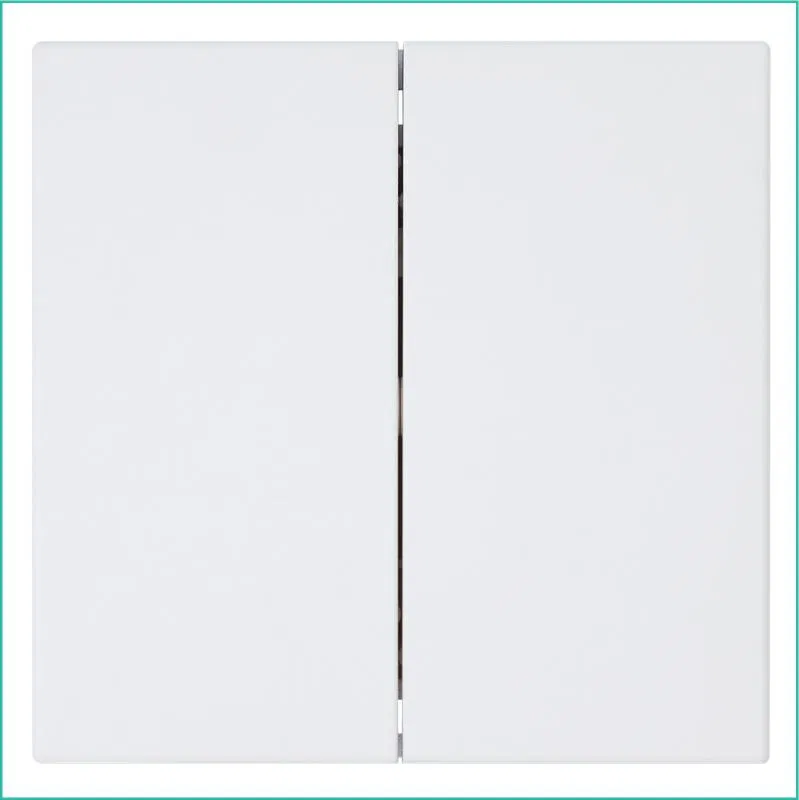 Выключатель 2-кл. СП FD 10А IP20 с накладкой механизм бел. матов. soft touch Jasmart FD3023PWM