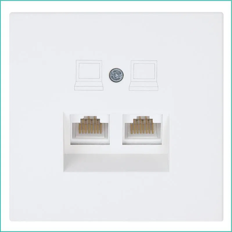 Розетка компьютерная 2-м СП RJ45 FD кат.5E с накладкой механизм бел. матов. soft touch Jasmart FD6106PWM