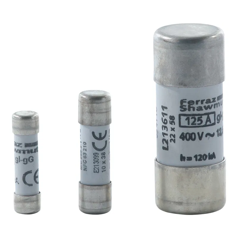 Fuse AJT100-(AJT100) KEAZ-FERRAZ 315963