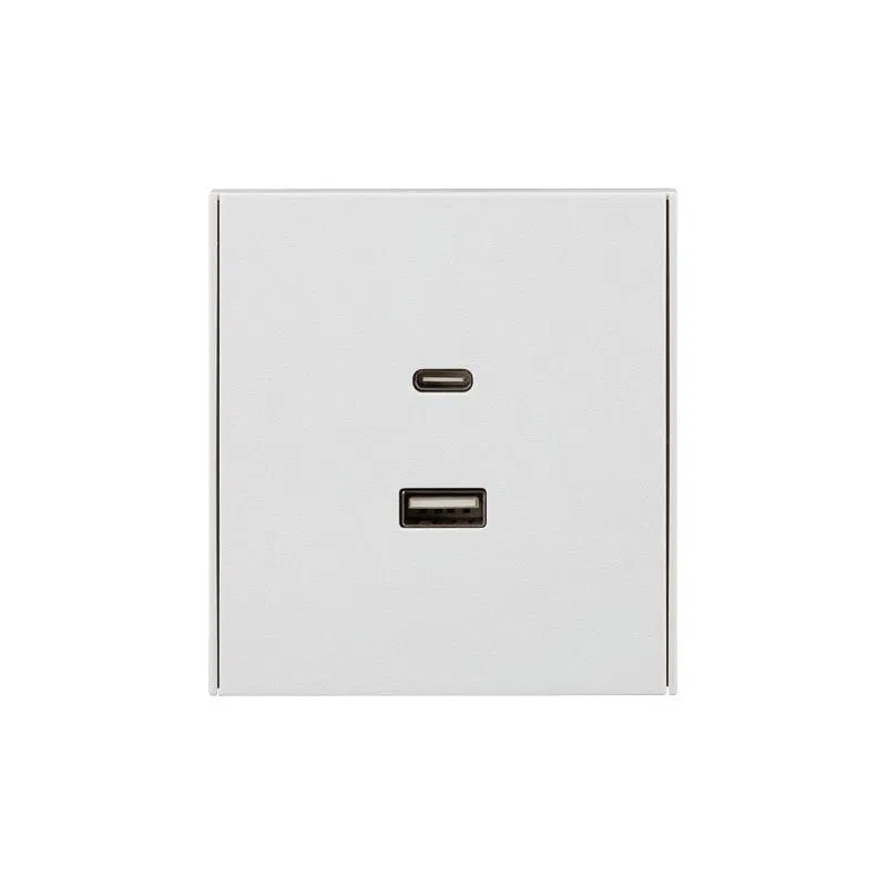 Розетка 2-м СП STRONG 16А IP20 USB-A + Type-C 3А с функцией быстрой зарядки жемчуж. Kranz KR-78-0734-4