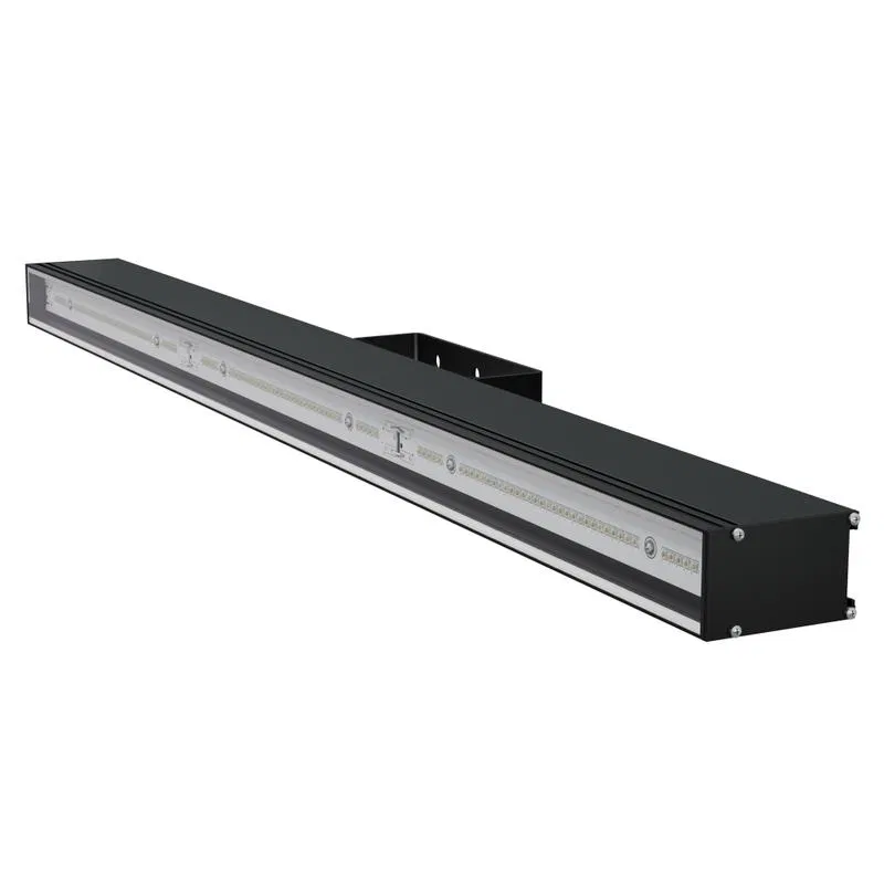 LAD LED LINE-1000-120-60B LED luminaire 60W 5000K IP66 230V LCC type "D" linear body black LADzavod LADLEDL1000LS60B LADzavod svetotekhniki