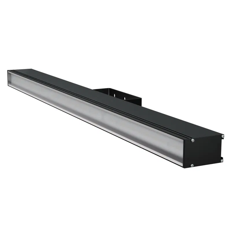 LAD LED LINE-1000-O-60B 60W 5000K IP66 230V 线型 LED 灯具 乳白扩散罩 黑色外壳 LAD厂 LADLEDL1000O60B LAD厂照明设备